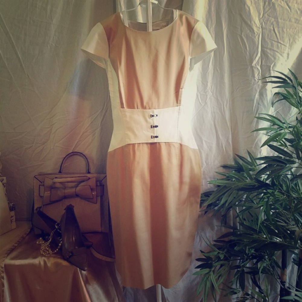 Antonio Melani Cap Sleeve Block Dress